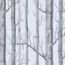 Обои Woods от Cole & Son ( арт. 69/12150) наполняют интерьеры изящными линиями стволов и ветвей деревьев на глянцевом фоне. Дизайн является одним из самых культовых в истории бренда и печатается с 1959 года. Купить обои в Москве, салон обоев, магазин обоев