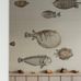 Купить английские флизелиновые обои для кухни Acquario, Арт.114/16033 от Cole & Son® из коллекции Fornasetti Senza Tempo.  Обои с морской тематикой. Обои изображением рыб на бежевом фоне. Обои для спальни, купить обои в интернет магазине Одизайн с бесплатной доставкой.
