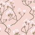 Цветочный дизайн обоев Magnolia в оттенках розового от Cole & Son с изображением крупных магнолий, в котором вы словно чувствуете теплое дыхание юга. Выбрать обои в интернет-магазине, бесплатная доставка, магазин обоев в Москве.