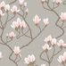 Цветочный дизайн обоев Magnolia от Cole & Son в оттенках  серебра и розового  с изображением крупных магнолий, в котором  чувствуется теплое дыхание юга. Выбрать обои в интернет-магазине, бесплатная доставка, магазин обоев в Москве.