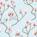 Цветочный дизайн обоев Magnolia от Cole & Son в оттенках небесно-голубого и розового  с изображением крупных магнолий, в котором  чувствуется теплое дыхание юга. Выбрать обои в интернет-магазине, бесплатная доставка, магазин обоев в Москве.