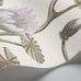 Обои Summer Lily - классический цветочный рисунок Cole & Son в уменьшенном масштабе. Водяные лилии сиреневого цвета на молочном фоне. Обои для гостиной, обои для спальни. Купить обои в салоне ОДизайн.