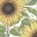 Цифровые обои для стен Solrosor, артикул 9664W от Borastapeter украшены вручную выполненным узором из ярких подсолнухов с сочными листьями на белоснежном фоне. Игривый цветочный узор выполнен в насыщенных желтых, оранжевых, зеленых и синих тонах. Заказать в интернет-магазине ODesign с бесплатной доставкой по всей России.