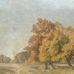 Цифровые обои для стен Hedgerow Landscape Orange, арт. 9668W от Borastapeter, с пейзажем обширных лугов и высокими деревьями, написанного маслом, представлено в теплых приглушенных тонах горчично-желтого, оранжевого и терракотового на фоне нежно-зеленой листвы и бледно-голубого неба. Заказать в интернет-магазине ODesign с бесплатной доставкой по всей России.