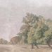 Цифровое панно для стен Hedgerow Landscape Grey, арт. 9669W от Borastapeter, с пейзажем обширных лугов и высокими деревьями, написанного маслом, представлено в теплых приглушенных тонах пудрового розового, сиреневого и серого. Заказать в интернет-магазине ODesign с бесплатной доставкой по всей России.