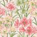 Эффектные обои Exoticks от Cole & Son украшены пышным изображением экзотических южноафриканских цветков Амариллиса белладонна розово-красного и желтого цвета среди зеленой листвы. Выбрать, заказать обои для гостиной, спальни в интернет-магазине.