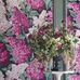 Обои Cole & Son - "Lilac Grandiflora" арт. 115/15045 - это изображение всеми любимого пышного кустарника сирени  цвета мадженты и розовых румян на угольном фоне, являются более крупным вариантом арт. 115/1001. Обои в Москве, адреса магазинов, каталог обоев