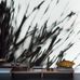 Фотообои в интерьере арт. DM315-1 Mr. Perswall с изображением  растения в черно-белом цвете в минималистичном стиле. Купить фотообои  Mr. Perswall в Москве, большой ассортимент, оплата онлайн, бесплатная доставка