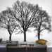 Фотообои Sitting in a tree, Mr Perswall с крупным изображением трех деревьев с пышными кронами в современном интерьере. Выбрать, заказать фотообои для стен в интернет-магазине, онлайн оплата.