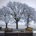 Фотообои Sitting in a tree, Mr Perswall с крупным изображением трех деревьев с пышными кронами в современном интерьере. Выбрать, заказать фотообои для стен в интернет-магазине, онлайн оплата.