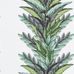 Обои 1004/01, с растительным орнаментом на фоне белого цвета в каталоге Christian Lacroix