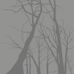 Фотообои DM215-1 с рисунком из стилизованных деревьев серого цвета на серо-коричневом фоне. Купить обои в Москве, шведские обои, фотообои, салон обоев, магазин обоев, бесплатная доставка.