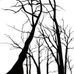 Фотообои DM215-2 с графичным рисунком из стилизованных деревьев черного цвета на белом фоне. Купить обои в Москве, шведские обои, фотообои, салон обоев, магазин обоев, бесплатная доставка.