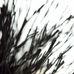 Фотообои арт. DM315-1 Mr. Perswall с изображением  растения в черно-белом цвете в минималистичном стиле. Купить фотообои  Mr. Perswall в Москве, большой ассортимент, оплата онлайн, бесплатная доставка