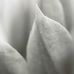 Фотообои арт.DM323-1 Mr Perswall Швеция с изображением макросьемки тюльпанаи в черно-белом цвете