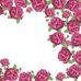 Фотопанно Rose garden, Mr. Perswall со стилизованным изображением бутонов и распустившихся восхитительных пышных роз малинового цвета, обрамленных изящными зелеными листьями. Выбрать, заказать фотопанно в интернет-магазине, бесплатная доставка.