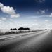 Фотообои Dream road, Mr. Perswall изображают шоссе, уходящее вдаль на фоне природы и высокого голубого неба. Купить фотообои для гостиной, коридора в салонах ОДизайн, бесплатная доставка.