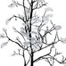 Фотообои арт. P031802-8 Perswall Швеция с изображением дерева рябины серо-черного цвета на белом фоне