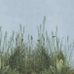 Флизелиновые фотопанно из Швеции коллекция NOSTALGIC от Mr.PERSWALL под названием MORNING MIST. Панно с изображением высокой полевой травы, панно в зеленом, голубом и коричневом цвете. Фотообои для гостиной, панно для спальни, фотопанно для коридора. Купить обои онлайн, большой ассортимент, бесплатная доставка
