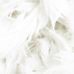 Флизелиновые фотопанно из Швеции коллекция DAILY DETAILS от Mr.PERSWALL под названием SOFT. Панно с изображением перьев в бело-бежевом оттенке. Фотообои для спальни, панно для гостиной. Бесплатная доставка, купить обои, большой ассортимент
