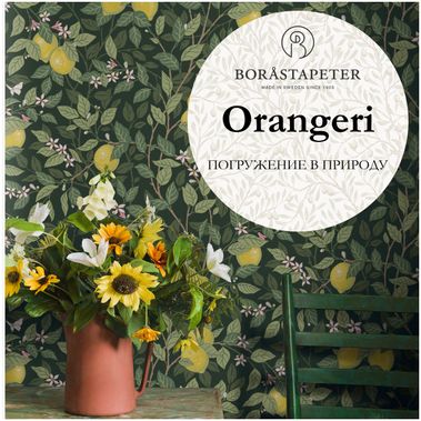 Orangeri - Погружение в природу