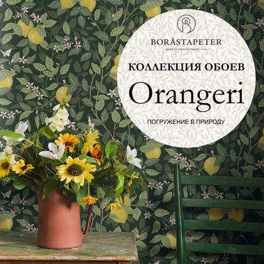 Orangeri / ПРЕСС РЕЛИЗ