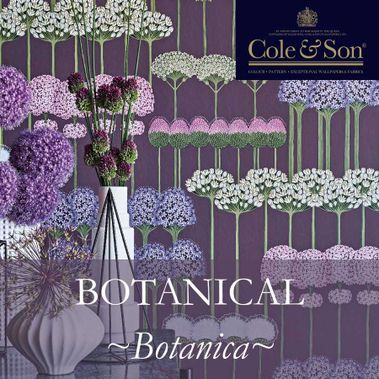 Обои Allium из коллекции Botanical Botanica Cole & Son с логотипом бренда
