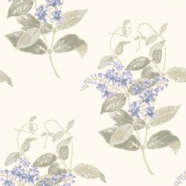 Обои Madras Violet от Cole & Son с детальной проработкой рисунка цветков мадрасской фиалки и изумительной игрой элегантных оттенков фиолетового и серого на молочном фоне. Купить обои для спальни, гостиной в интернет-магазине, онлайн оплата.