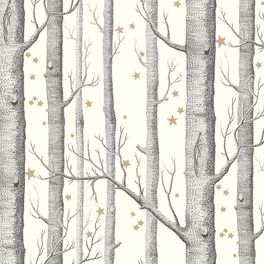 Обои Woods & Stars  ̶  это классический дизайн Cole & Son, с таинственным лесом из прорисованных мелкими штрихами деревьев в черно-белой гамме, дополненный мерцающими золотыми звездами. Купить обои для комнаты в салонах ОДизайн. Большой ассортимент.