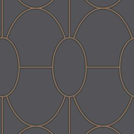 Обои из Великобритании коллекции Geometric II от COLE & SON. Геометрические черно-бронзовых линии овалов  Rivera для кабинета. Купить обои в интернет-магазине, большой ассортимент, бесплатная доставка.