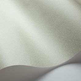 Обои из Великобритании коллекции Landscape Plains от COLE & SON. Pebble - мелкий крапчатый рисунок с шагреневым эффектом для фонового оформления интерьеров. Обои для прихожей. Ассортимент, продажа.