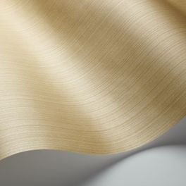 Дизайн обоев Jaspe из архива фабрики Cole & Son представляет собой рисунок с эффектом покраски кистью в элегантном оттенке бронзы. Купить обои для гостиной, спальни, онлайн оплата.
