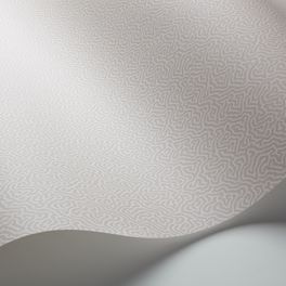 Обои Coral от Cole & Son в оттенках серого с вариацией канонического дизайна блоковой печати Vermicell в уменьшенном формате. Выбрать, заказать обои для кабинета в интернет-магазине.
