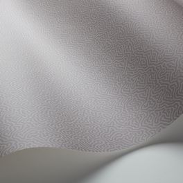 Обои Coral от Cole & Son в прохладных оттенках серого с вариацией канонического дизайна блоковой печати Vermicell в уменьшенном формате. Выбрать, заказать обои для кабинета в интернет-магазине.
