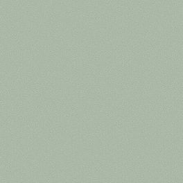 Обои Coral от Cole & Son выразительного серо-зеленого оттенка с вариацией канонического дизайна блоковой печати Vermicell в уменьшенном формате. Выбрать, заказать обои для прихожей, спальни в интернет-магазине.