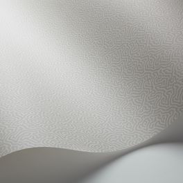 Обои Coral от Cole & Son в оттенках серого с вариацией канонического дизайна блоковой печати Vermicell в уменьшенном формате. Выбрать, заказать обои для гостиной, прихожей в интернет-магазине.