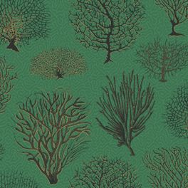 Обои Seafern от Cole & Son созданы по мотивам ботанических гравюр конца XVIII века с изображением различных видов кораллов черного с золотом цвета. В качестве фона использован узор “Vermicelli” из архива фабрики изумрудного оттенка. Обои для гостиной, спальни купить в интернет-магазине, онлайн оплата.