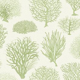 Обои Seafern от Cole & Son созданы по мотивам ботанических гравюр конца XVIII века с изображением различных видов кораллов цвета листьев папоротника. В качестве фона использован узор “Vermicelli” из архива фабрики молочного оттенка. Обои для гостиной, спальни купить в интернет-магазине, онлайн оплата.