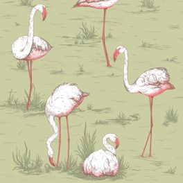Флизелиновые обои Flamingos от Cole & Son Арт. 112/11038, с причудливым узором из белых с коралловым фламинго, на зеленом, оливковом фоне.. Обои для спальни, выбрать в каталоге, заказать доставку