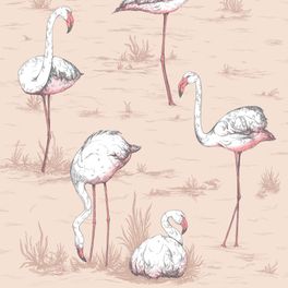 Флизелиновые обои Flamingos от Cole & Son Арт. 112/11039, с причудливым узором из белых фламинго, на фоне цвета пуантов. Английские обои заказать, доставка обоев до дома, Обои в Москве