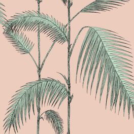 Обои Palm Leaves от Cole & Son арт. 112/2006, с изображением пальмовых листьев. Простой, но яркий принт пальмовых листьев, в сочетании розового и мятного цвета. Графичное исполнение и ритмичный повтор рисунка создают динамичный интерьер. Обои для квартиры, обои на стену, дизайнерские обои.