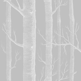 Обои Woods от Cole & Son ( арт. 112/3012 ) наполняют интерьеры изящными линиями стволов и ветвей деревьев на светло - сером фоне. Дизайн является одним из самых культовых в истории бренда и печатается с 1959 года. Обои в Москве, адреса магазинов, каталог обоев
