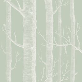 Обои Woods от Cole & Son ( арт. 112/3013 ) наполняют интерьеры изящными линиями стволов и ветвей деревьев на оливковом фоне. Дизайн является одним из самых культовых в истории бренда и печатается с 1959 года. Английские обои, Обои Cole & Son, Каталог обоев