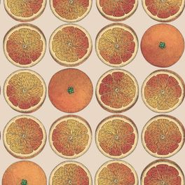 Купить английские флизелиновые обои Cole & Son® Fornasetti Senza Tempo Арт. 114/24047. Обои изображением апельсинов, грейпфрутов на бежевом фоне. Обои для кухни, онлайн оплата.