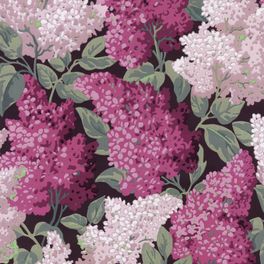 Обои Cole & Son - "Lilac Grandiflora" арт. 115/15045 - это изображение всеми любимого пышного кустарника сирени  цвета мадженты и розовых румян на угольном фоне, являются болеее крупным вариантом арт. 115/1001. Обои в гостиную, стильные обои, флизелиновые обои