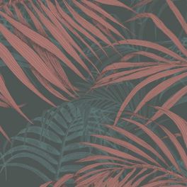 Обои Fardis - Maui  создают ощущение параллельного мира в с тропическими пальмами тихоокеанских стран. Арт. 117068 выполнен на фоне структурного металлика тёмного цвета с листьями рубинового и   бирюзового оттенка , создающие ощущение глубины в пространстве. Английские обои, Обои Fardis, Каталог обоев.