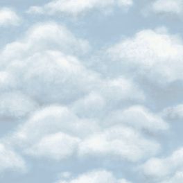 Английские флизелиновые обои, арт. 118/6010 "Fresco Sky", бренда Cole & Son , из коллекции Great Masters .
Обои для спальни с изображением неба, фактура фрески в нежных голубых оттенках.
Купить в Москве с бесплатной доставкой, широкий ассортимент.
