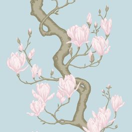 Купить премиальные обои Magnolia Tree арт. 128/1004 от Cole & Son из коллекции Classics II. Детализированный классический узор дерева Магнолия на голубом фоне. Детальный рисунок, демонстрирующий качество печати.