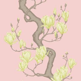Купить премиальные обои Magnolia Tree арт. 128/1002 от Cole & Son из коллекции Classics II. Детализированный классический узор дерева Магнолия на розовом фоне. Детальный рисунок, демонстрирующий качество печати.