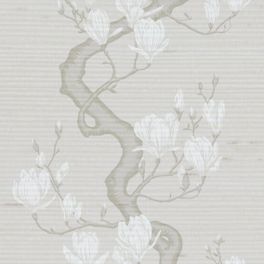 Купить премиальные шелковые обои Magnolia Tree арт. 128/10075 от Cole & Son из коллекции Classics II. Детализированный классический узор дерева Магнолия на кремовом фоне. Детальный рисунок, демонстрирующий качество печати.